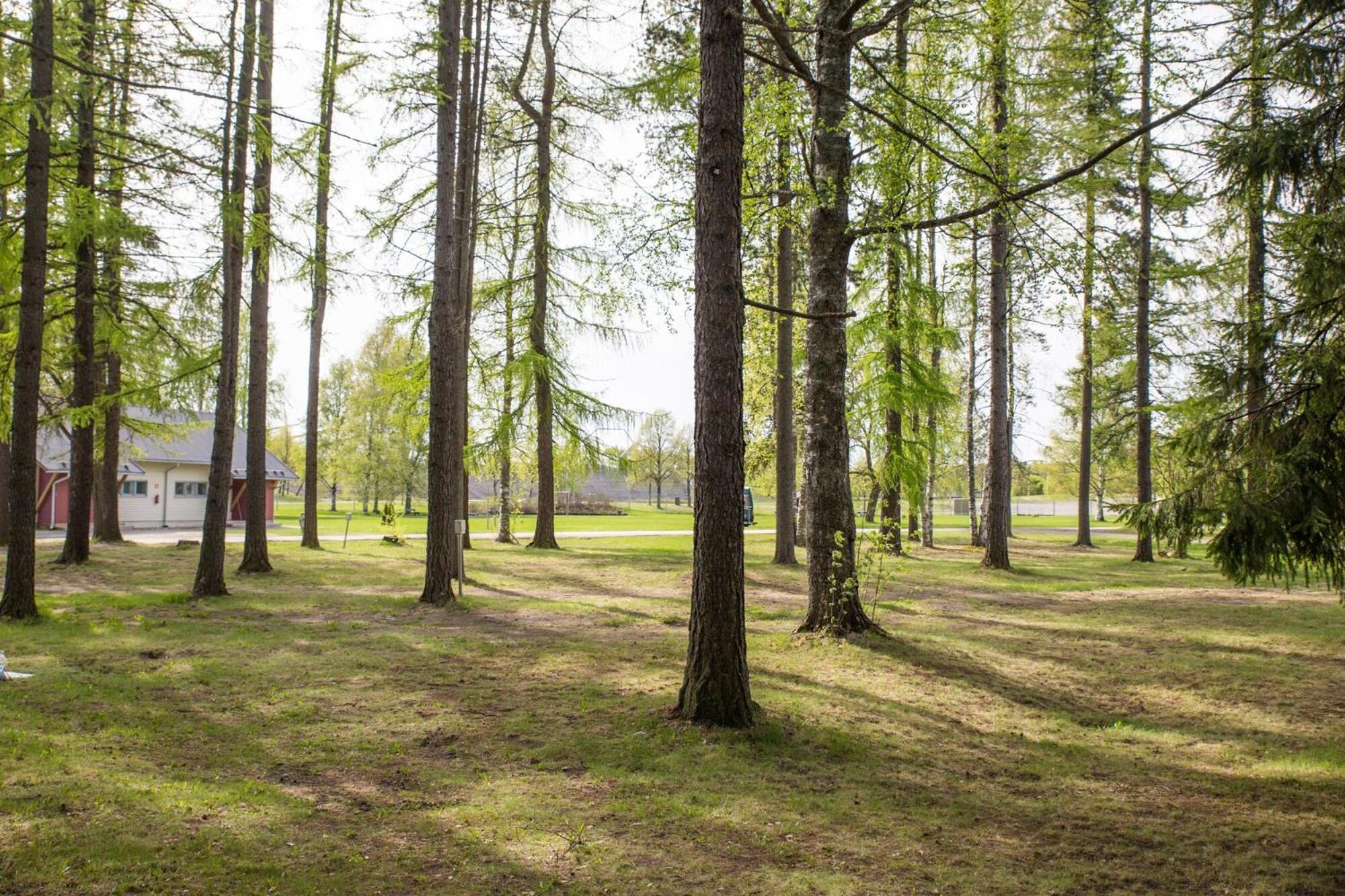 Holiday Linnunlahti Joensuu Oda fotoğraf